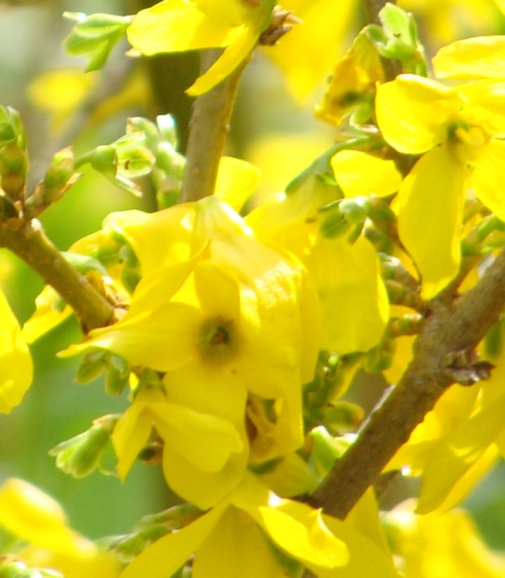 ???????????????????????????????