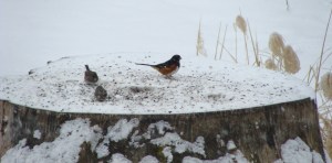 ???????????????????????????????