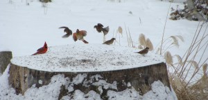 ???????????????????????????????