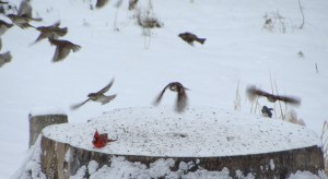 ???????????????????????????????