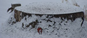 ???????????????????????????????