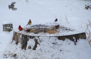 ???????????????????????????????