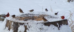 ???????????????????????????????