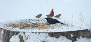 ???????????????????????????????