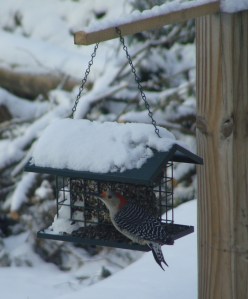 ???????????????????????????????