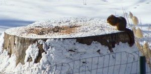 ???????????????????????????????