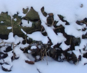 ???????????????????????????????