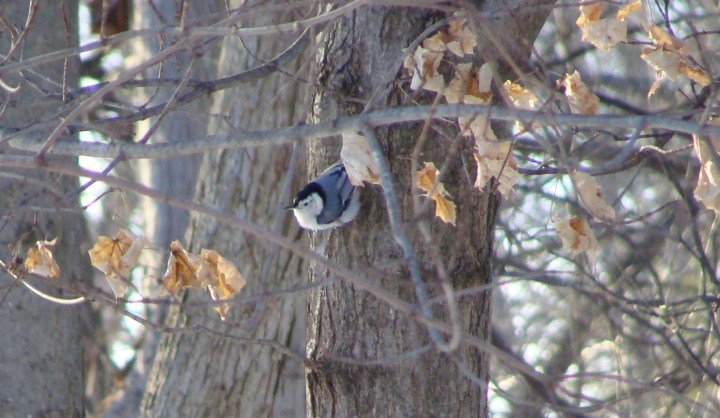 ???????????????????????????????