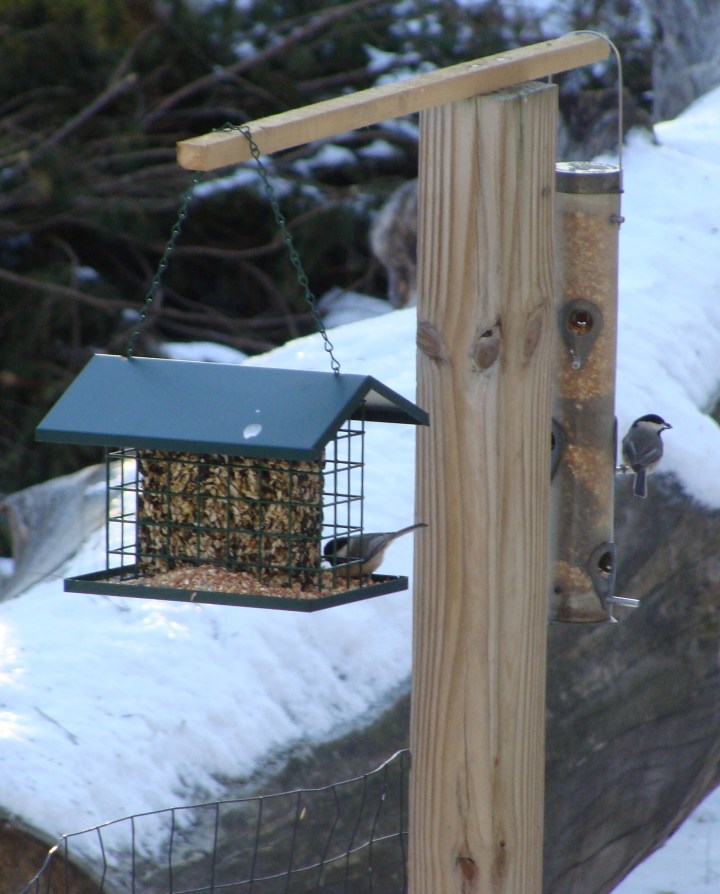 ???????????????????????????????