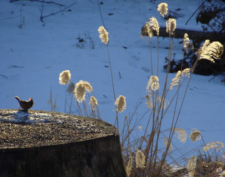 ???????????????????????????????