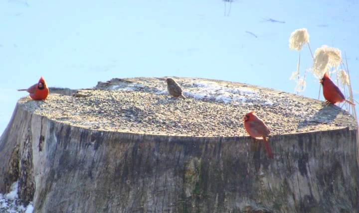 ???????????????????????????????