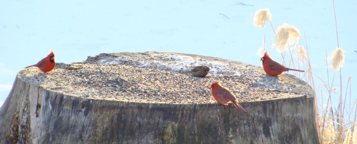 ???????????????????????????????