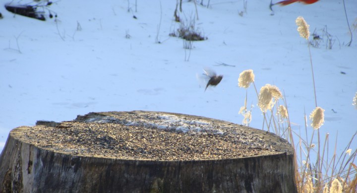 ???????????????????????????????