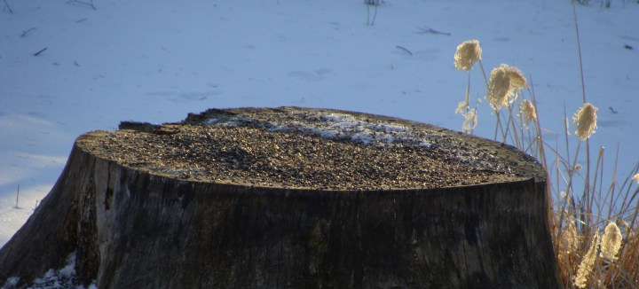 ???????????????????????????????