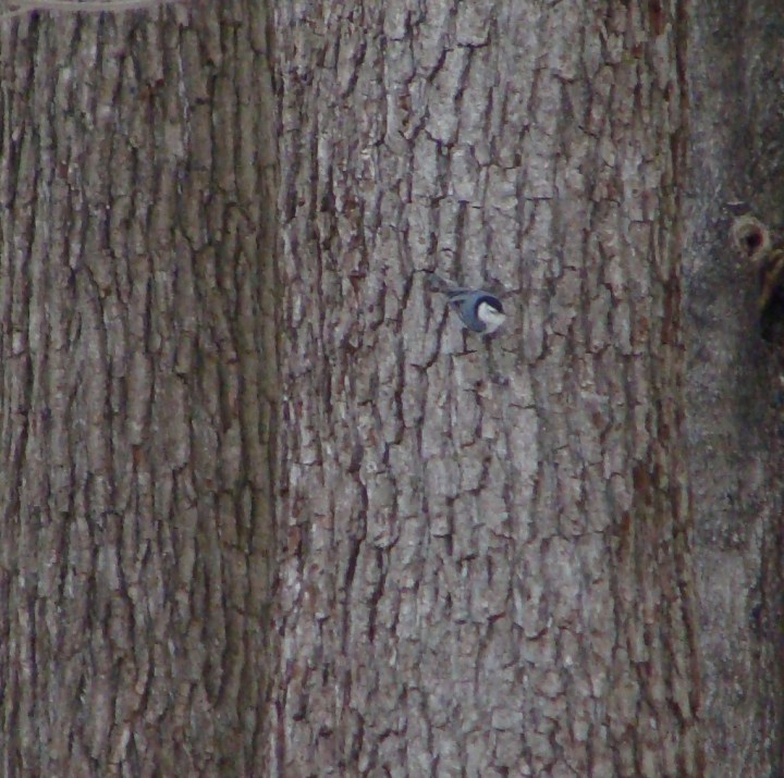 ???????????????????????????????