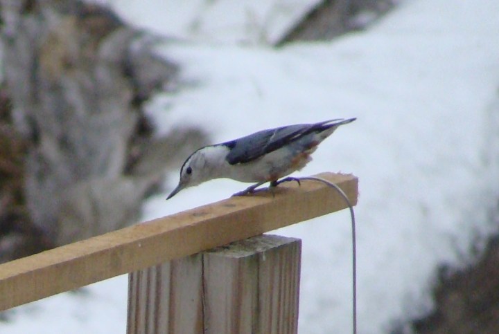 ???????????????????????????????