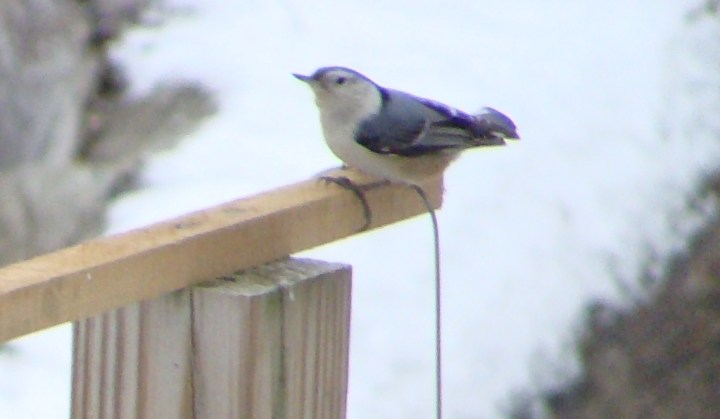 ???????????????????????????????