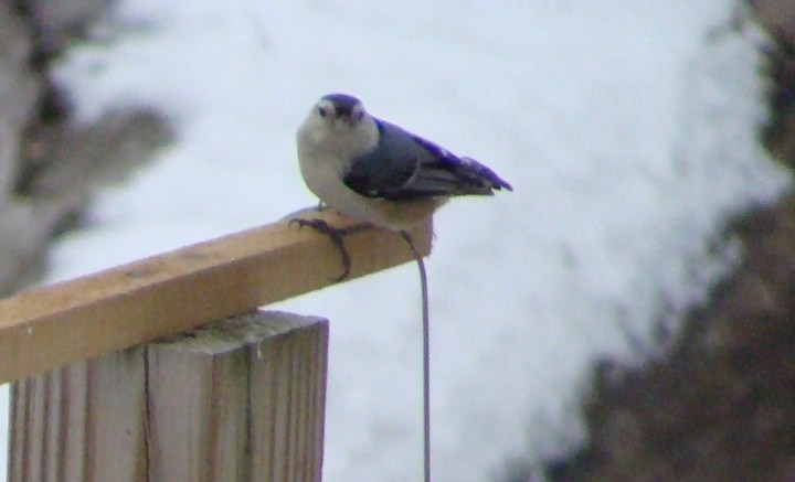 ???????????????????????????????