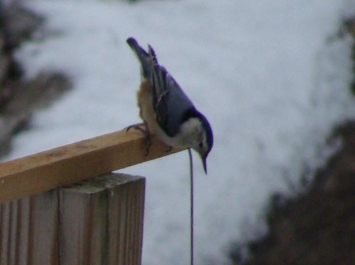 ???????????????????????????????