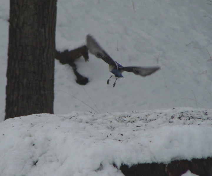 ???????????????????????????????