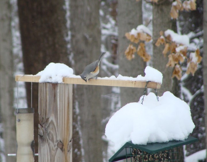 ???????????????????????????????