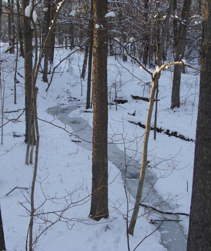 ???????????????????????????????