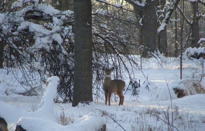 ???????????????????????????????