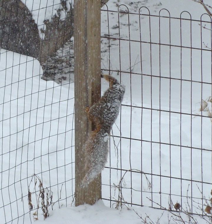 ???????????????????????????????