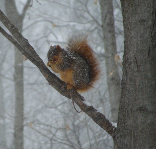 ???????????????????????????????