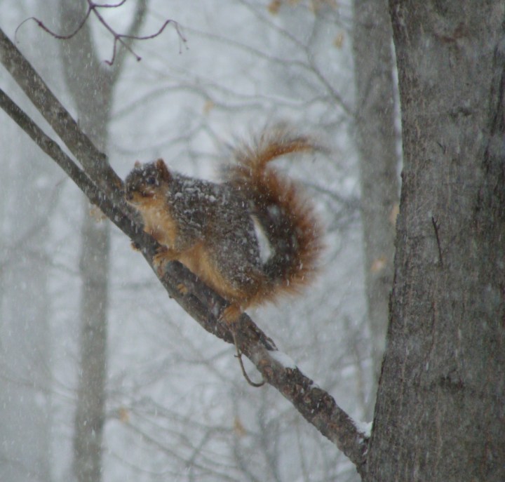 ???????????????????????????????