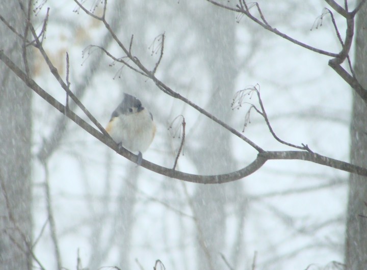 ???????????????????????????????