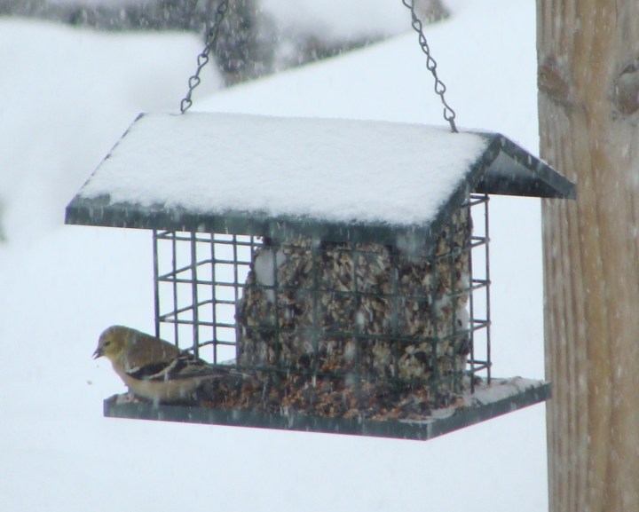 ???????????????????????????????