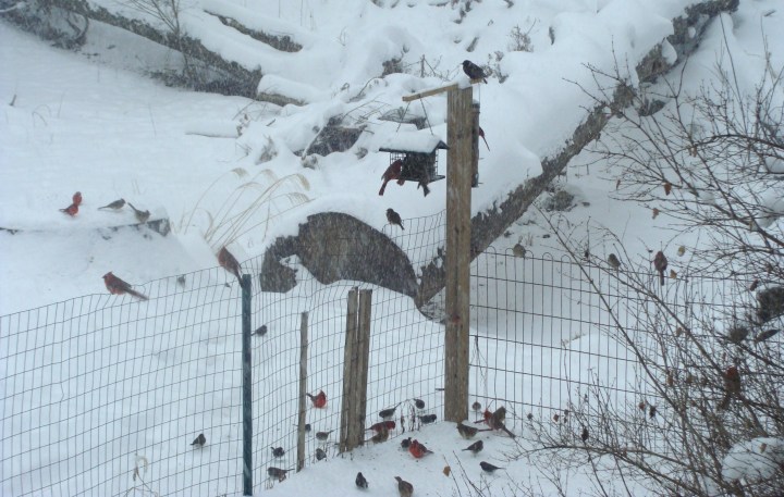 ???????????????????????????????