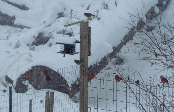 ???????????????????????????????