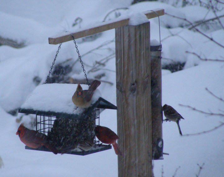 ???????????????????????????????