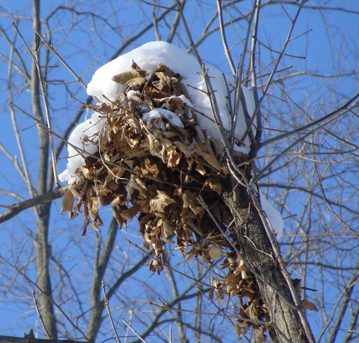 ???????????????????????????????