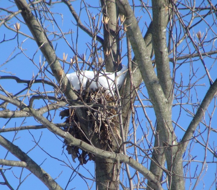 ???????????????????????????????