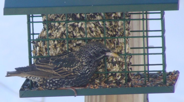 ???????????????????????????????