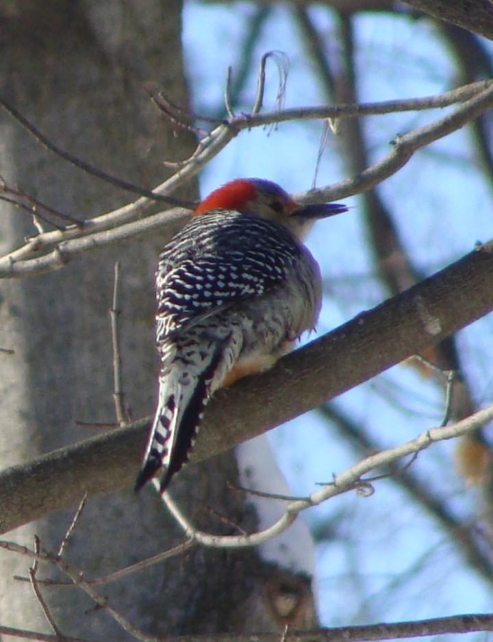 ???????????????????????????????