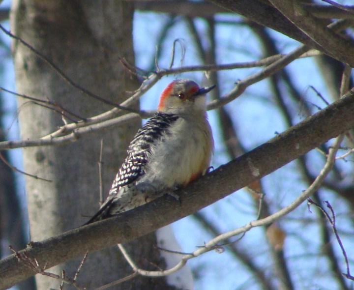 ???????????????????????????????