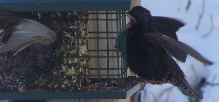 ???????????????????????????????