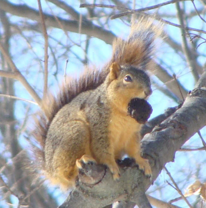 ???????????????????????????????