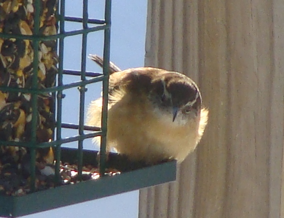 ???????????????????????????????