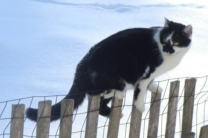 ???????????????????????????????