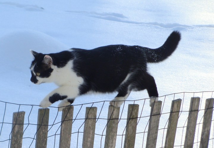 ???????????????????????????????