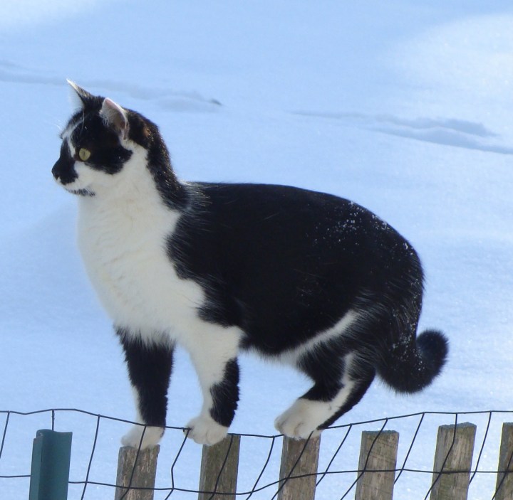 ???????????????????????????????