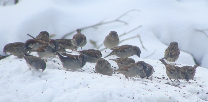 ???????????????????????????????