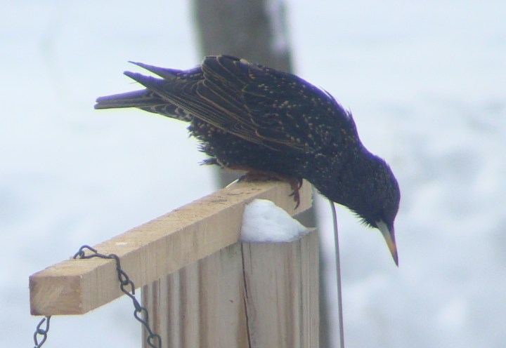 ???????????????????????????????