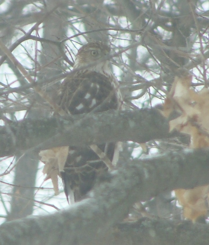 ???????????????????????????????