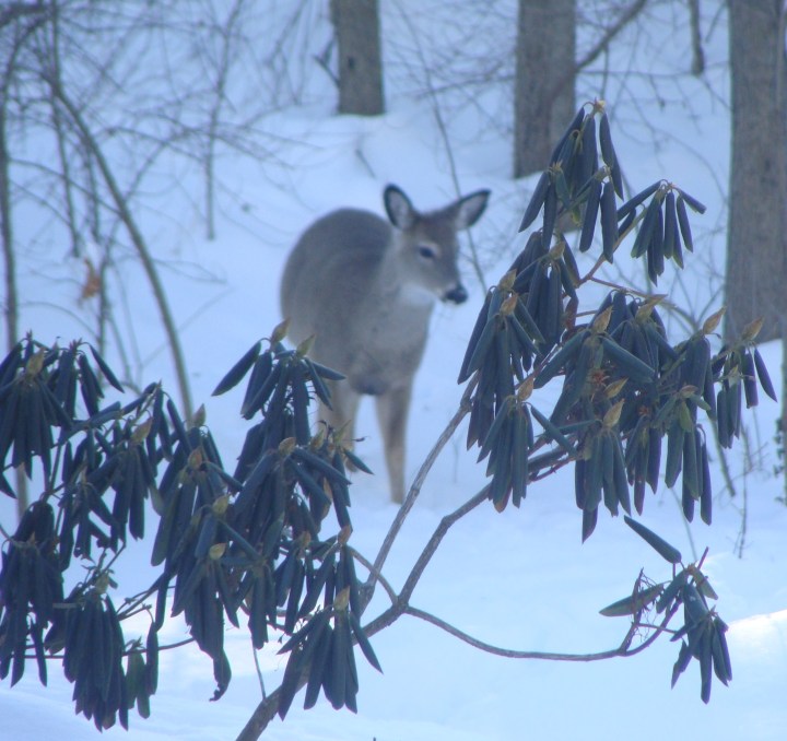 ???????????????????????????????